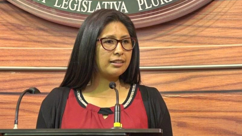 ep eva copa mas presidenta del senado de bolivia