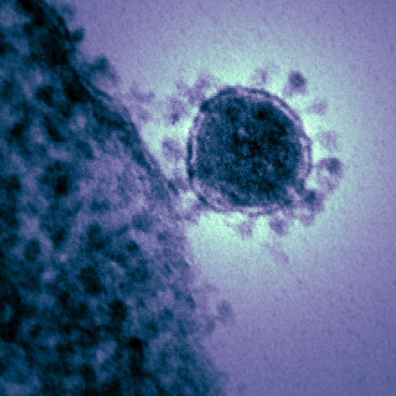 Italia confirma su séptima víctima mortal por el nuevo coronavirus y 230 afectados