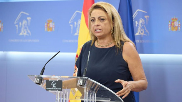 ep la diputada de coalicion canaria cristina valido