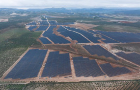 ep planta de bruc en malaga