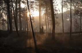 ep terreno quemado por el incendio forestal a las afueras de casavieja a 29 de julio de 2026 en