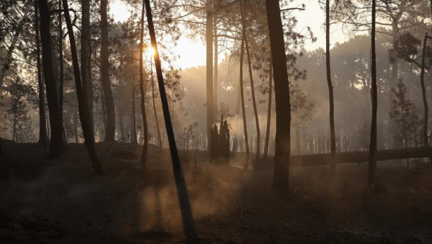 ep terreno quemado por el incendio forestal a las afueras de casavieja a 29 de julio de 2026 en