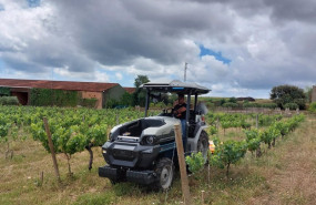 ep tractor electrico y autonomo de monarch en los vinedos de familia torres