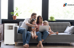 imagen 1 1 20240423181638 imagen 1 1 20240423181638