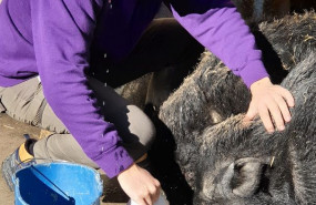 1611051719 dando de comer animales