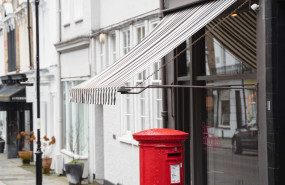 1627891259 pexels olga lioncat 7245324 min 