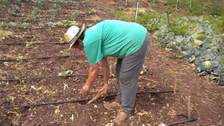 ep archivo agricultor agricultura cultivo sector primario ep archivo agricultor agricultura cultivo sector primario
