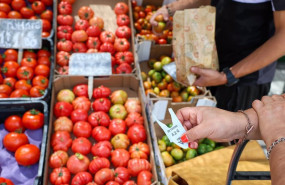 ep archivo   cajas de tomates en un mercado de la comunidad de madrid a 12 de junio de 2024 en