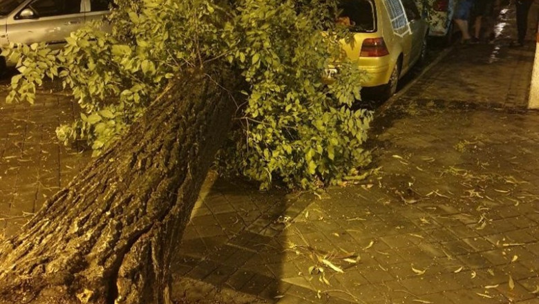 Caída de un árbol tras una fuerte tormenta en la localidad de Leganés. | PP DE LEGANÉS ep caida de un arbol tras una fuerte tormenta en la localidad de leganes