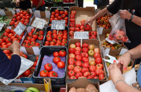 ep cajas de tomates en un mercado de la comunidad de madrid a 12 de junio de 2024 en madrid espana