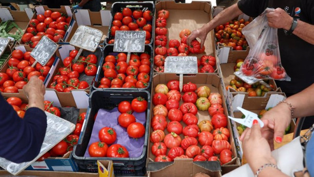 ep cajas de tomates en un mercado de la comunidad de madrid a 12 de junio de 2024 en madrid espana