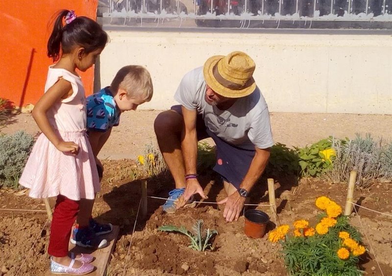ep huerto ecologico en el colegio de benimaclet en valencia