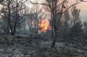 ep incendio villalpardo