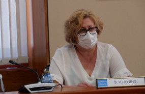 ep la diputada autonomica del bng carmen aira
