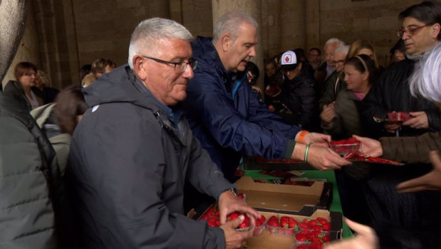 ep upa andalucia reparte fresas de huelva en la praza do obradoiro en santiago de compostela