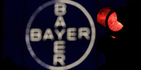 le logo bayer 