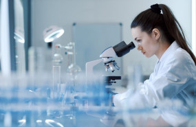 shutterstock 2361019097