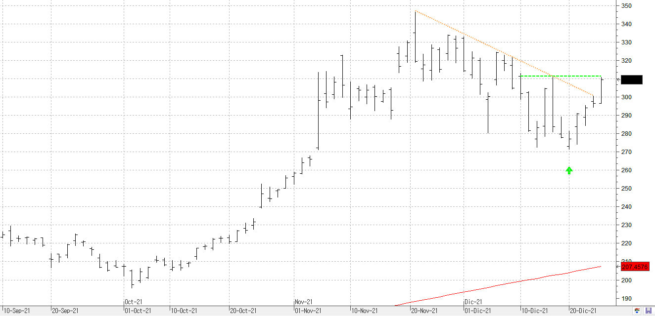 z281221nvidia