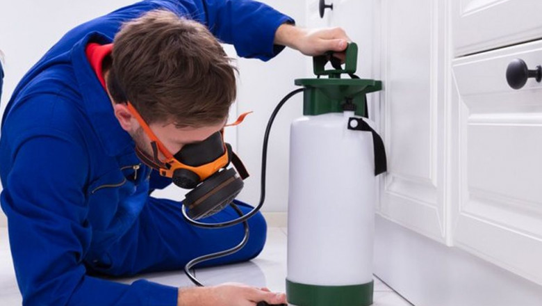 1596198252 control de plagas desintorre