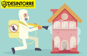 1620990988 eliminacion ratas y ratones 1620990988 eliminacion ratas y ratones