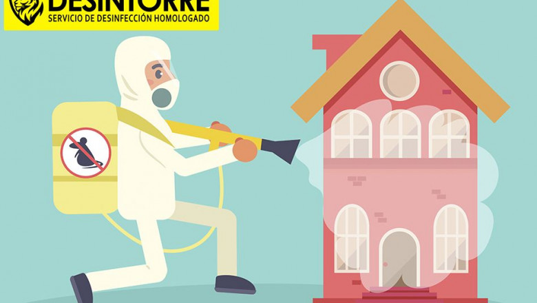 1620990988 eliminacion ratas y ratones