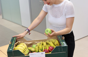 allianz partners colabora con talkual 20230628160624 