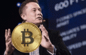 bitcoincbmusk1 bitcoincbmusk1