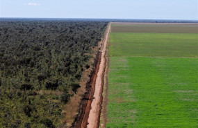ep aerial view of an unpaved road dividingsoy glycine max monoculture from the native cerrado in the region of ribeiro gonalves piaui brazil