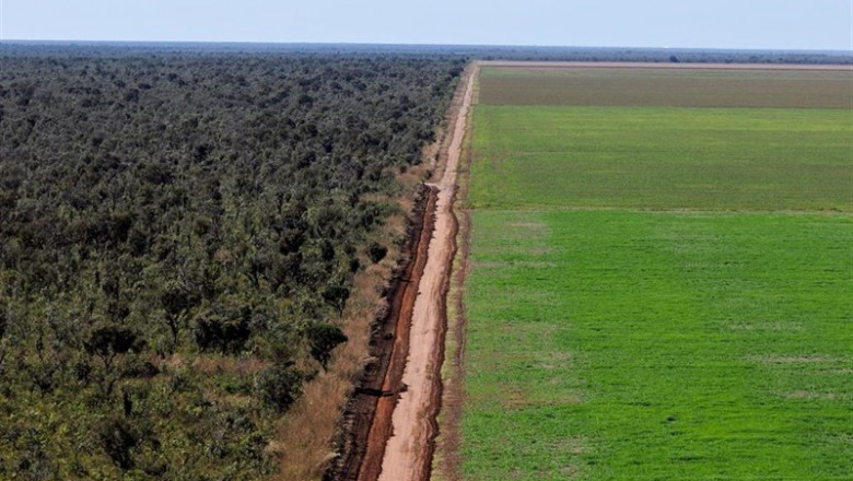 Aerial view of an unpaved road dividing a soy (Glycine max) monoculture from the native Cerrado, in the region of Ribeiro Gonçalves, Piauí, Brazil. | WWF - Archivo ep aerial view of an unpaved road dividingsoy glycine max monoculture from the native cerrado in the region of ribeiro gonalves piaui brazil