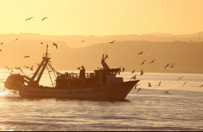 ep archivo   barco faenando al amanecer