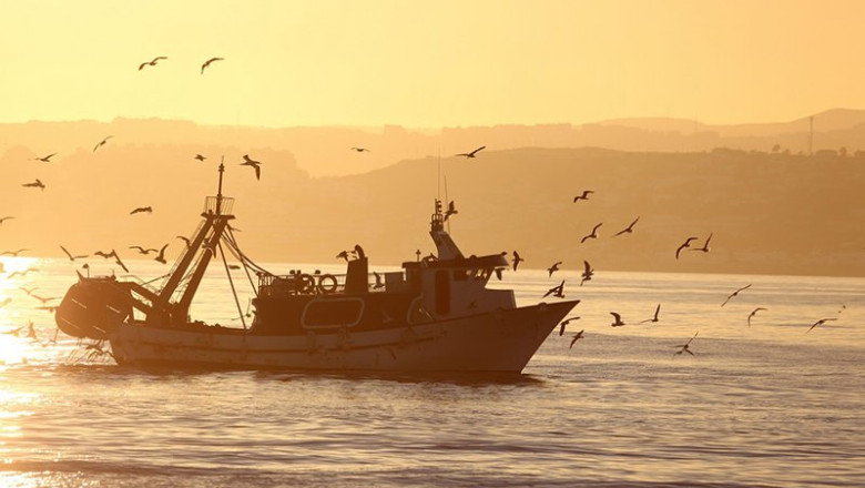 ep archivo   barco faenando al amanecer