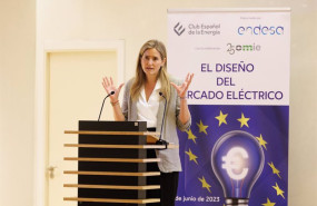 ep archivo   la nueva vicepresidenta tercera y ministra de transicion ecologica sara aagesen en una