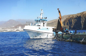 ep el gobierno canario apoya con 19 millones de euros al sector pesquero y acuicola ante el alza de