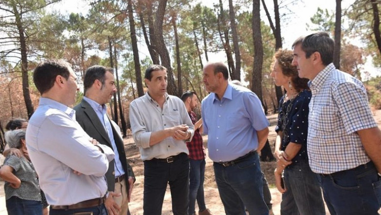 El vicepresidente del Gobierno regional, José Luis Martínez Guijarro, visita la zona afectada por el incendio de Barchín del Hoyo | JCCM ep el vicepresidente del gobierno regional jose luis martinez guijarro visita la zona afectada por