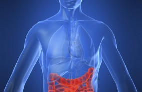 ep enfermedadcrohn intestino enfermedad intestinal