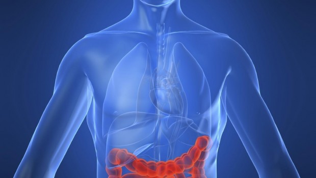 ep enfermedadcrohn intestino enfermedad intestinal