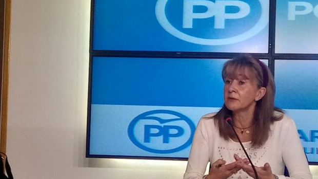 ep gazquez pp critica a robles por sus declaraciones sobre el proyecto 8x8 y santa barbara