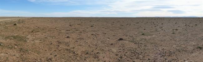 La estepa de esparto de Argelia, en peligro de desertificación | CSIC ep la estepaespartoargelia en peligrodesertificacion