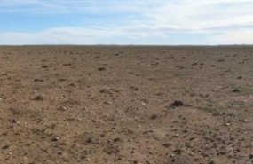 ep la estepaespartoargelia en peligrodesertificacion