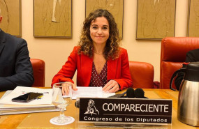 ep la secretaria de estado de turismo rosario sanchez durante su comparecencia en la comision de