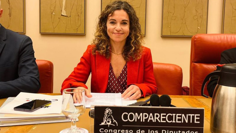 La secretaria de Estado de Turismo, Rosario Sánchez , durante su comparecencia en la Comisión de Industria y Turismo del Congreso de los Diputados. | MINISTERIO DE INDUSTRIA Y TURISMO ep la secretaria de estado de turismo rosario sanchez durante su comparecencia en la comision de