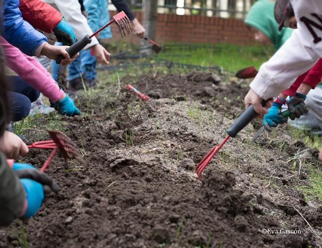 Quinta edición del premio Huertos Educativos Ecológicos | VIDA SANA ep quinta edicionpremio huertos educativos ecologicos