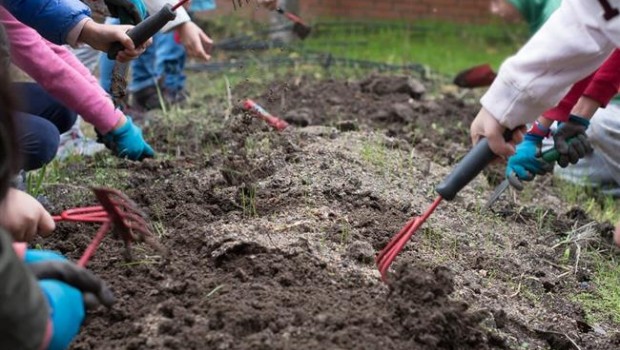 ep quinta edicionpremio huertos educativos ecologicos
