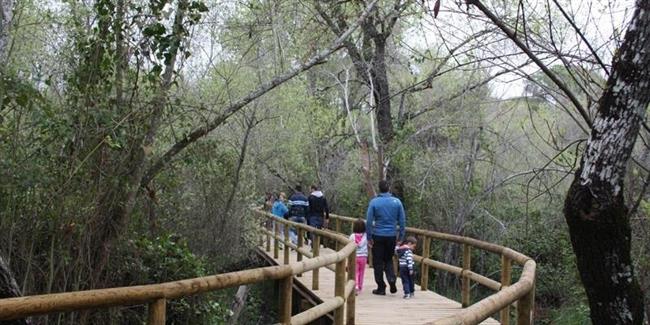 Sendero en Doñana. | EUROPA PRESS/DIPUTACIÓN ep senderodonana