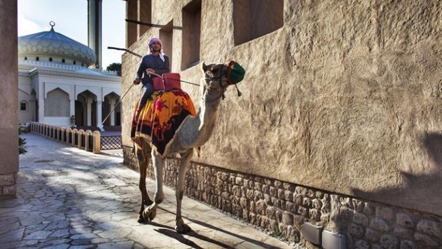 Dubái (UAE) | DUBÁI ep un ciudadanodubai emiratos arabes unidos montadoun camello