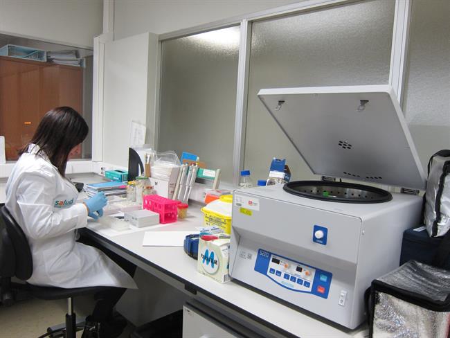 Una investigadora trabajando en los laboratorios del Hospital Miguel Servet | EUROPA PRESS ep una investigadora trabajandolos laboratorioshospital miguel servet
