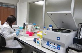 ep una investigadora trabajandolos laboratorioshospital miguel servet