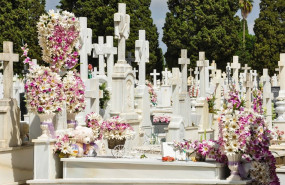 geneanet salvemos nuestras tumbas 1 geneanet salvemos nuestras tumbas 1