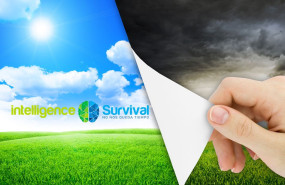 intelligence survival