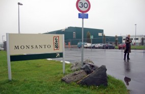 Monsanto